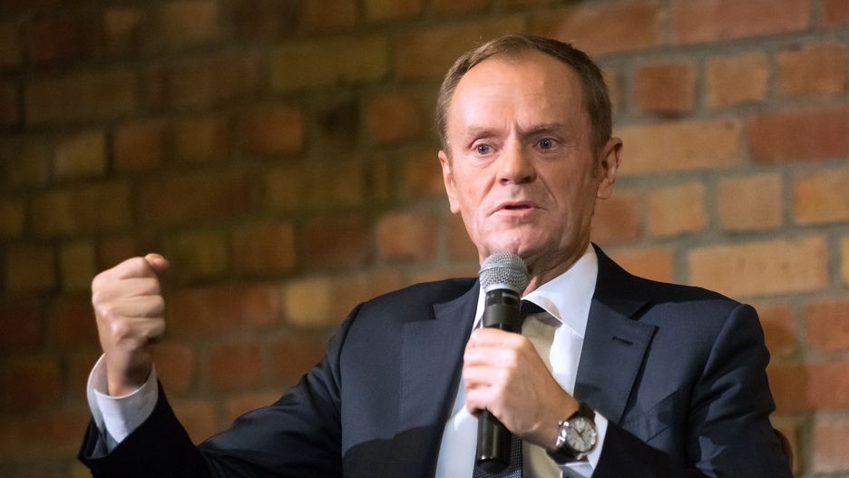 tusk