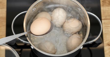 Jajka a zdrowy mózg. Naukowcy mówią o związku