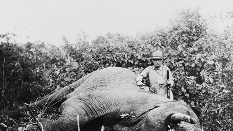 Sony urządza safari – polowanie na hakerów 1