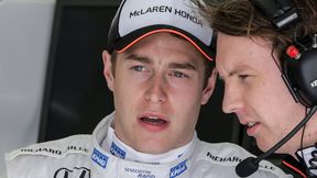 McLaren nie odda Stoffela Vandoorne'a