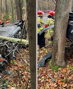 Dachowanie i zderzenie z drzewem. Skasował warte ponad 600 tys. zł auto