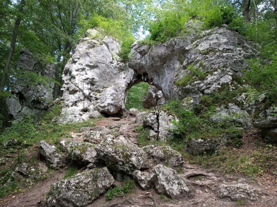 Obraz
