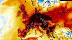 Najcieplejszy styczeń do 30 lat. "Galopujące zmiany"