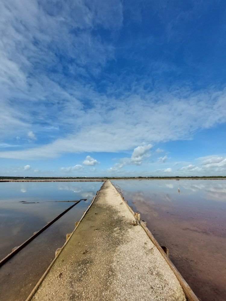 Salinas do Samouco