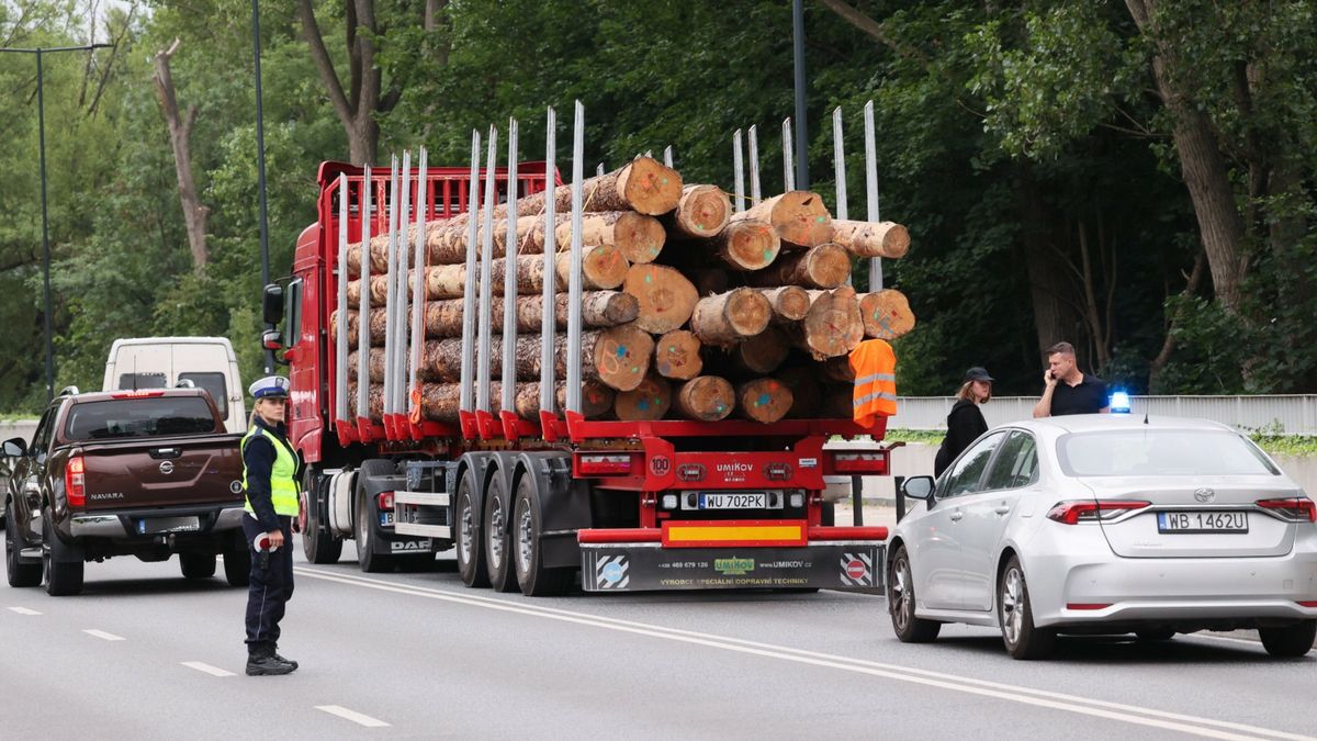 Lasy Państwowe pokazały, gdzie pojechało polskie drewno