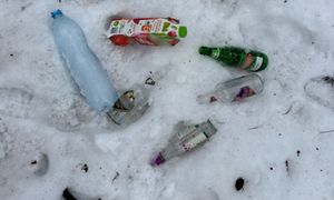 Siwa Dolina zaśmiecona. Nadleśnictwo publikuje zdjęcia