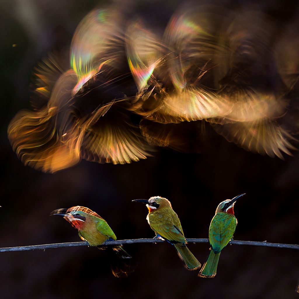 Znamy wyniki La Grande PHOTO International Photography Awards 2016 19