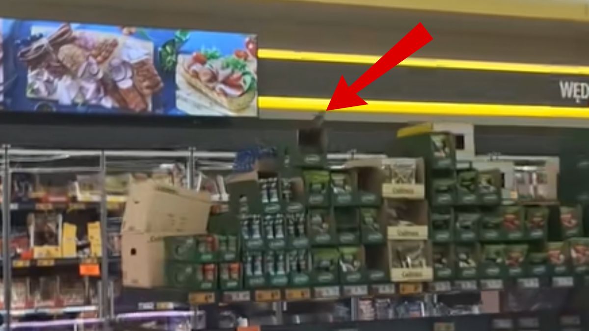 Nagranie z Biedronki. Uchwycił ptaki.