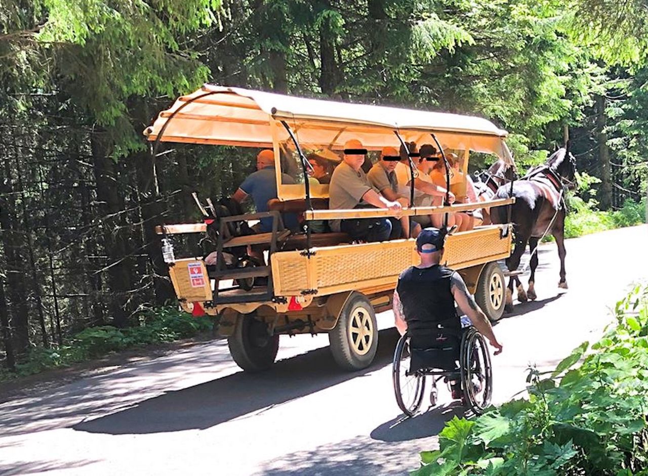 Morskie Oko. Fundacje prozwierzęce: los koni to wina nieczułych urzędników. TPN odpiera zarzuty