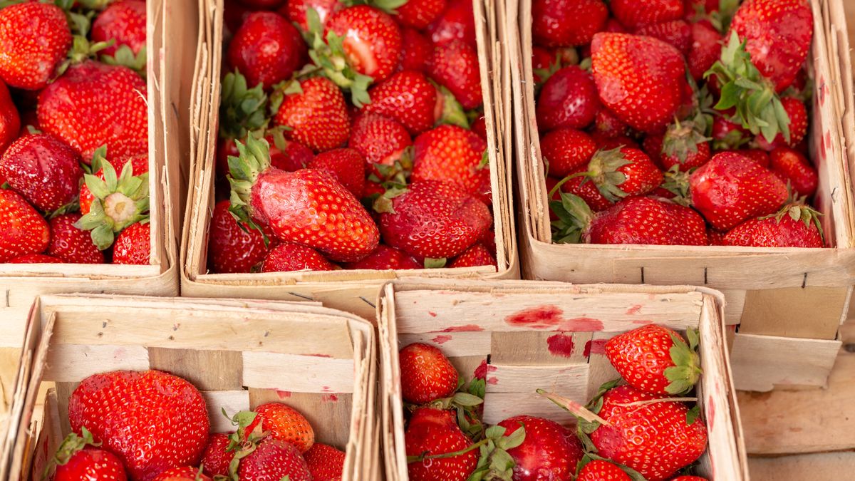 Które truskawki są najlepsze?