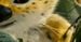 ''Na tropie Marsupilami'': Znakomite połączenie ''Shreka'' z ''Indianą Jonesem'', na którym ''trudno złapać oddech'' ze śmiechu!