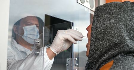 Koronawirus. Najnowsze dane Ministerstwa Zdrowia (12 sierpnia)
