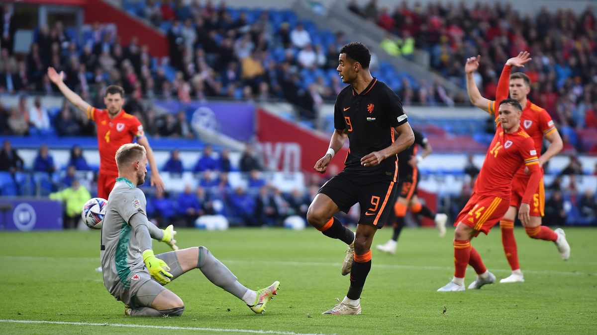 PAP/EPA / PETER POWELL / Na zdjęciu: Cody Gakpo