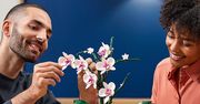 LEGO – pasja budowania w najlepszym wydaniu. Sprawdź topowe zestawy!