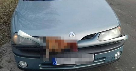 Zderzenie Renault z kurą. Ona nie przeżyła, a jej właściciel dostał mandat