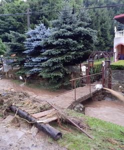 Lwówek Śląski. Skutki burz i opadów wciąż odczuwalne. Strażacy i żołnierze mają pełne ręce roboty