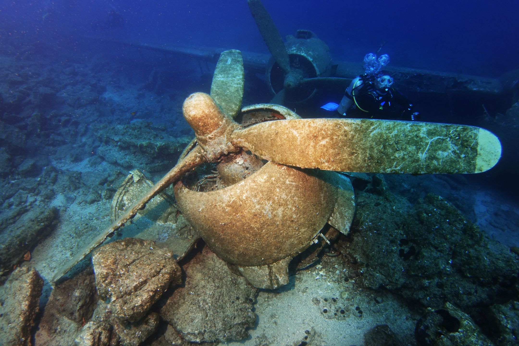 scuba diver search plane crash site motor unit in dramatic light
crash, airplane, sunken, underwater, plane, diving, scuba, wreck, water, sea, vacation, ocean, marine, adventure, deep, diver, background, travel, aircraft, tropical, activity, fish, aquatic, under, shipwreck, nature, blue, engine, explore, wreckage, dakota, life, dark, transportation, fly, craft, mediterranean, nautical, turkey, coral, reef, disaster, bodrum, site, search, motor, scuba diver, crash, airplane, underwater, plane, sunken, diving, scuba, wreck, water, sea, vacation, ocean, marine, adventure, deep, diver, background, travel, aircraft, tropical, activity, fish, aquatic, under, shipwreck, nature, blue, engine, explore, wreckage, dakota, life, dark, transportation, fly, craft, mediterranean, nautical, turkey, coral, reef, disaster, bodrum, site, search, motor