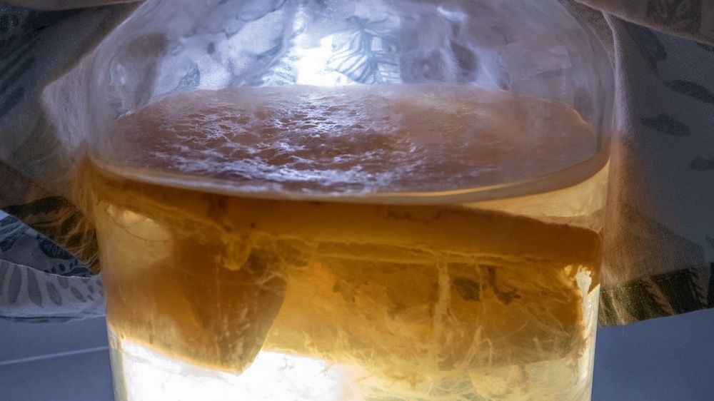 Kombucha to specyficzny napój, który powstaje w wyniku fermentacji słodzonej herbaty