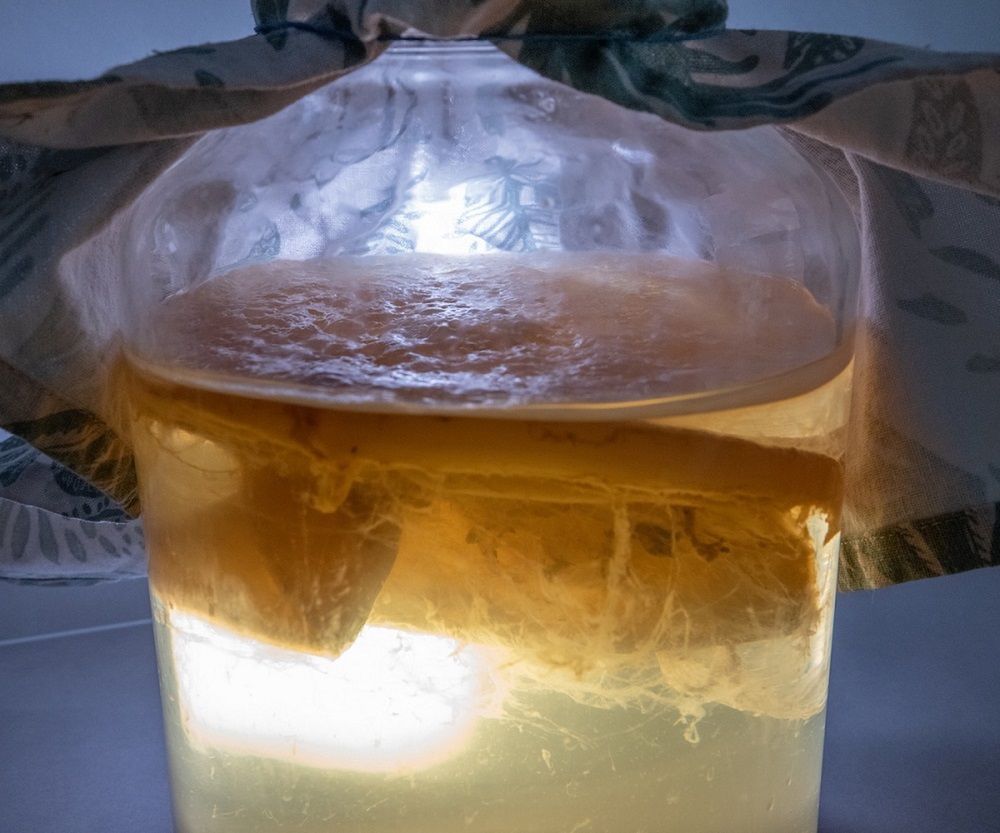 Doskonale gasi pragnienie i działa cuda w jelitach. Zastąpi herbatę i gazowane napoje