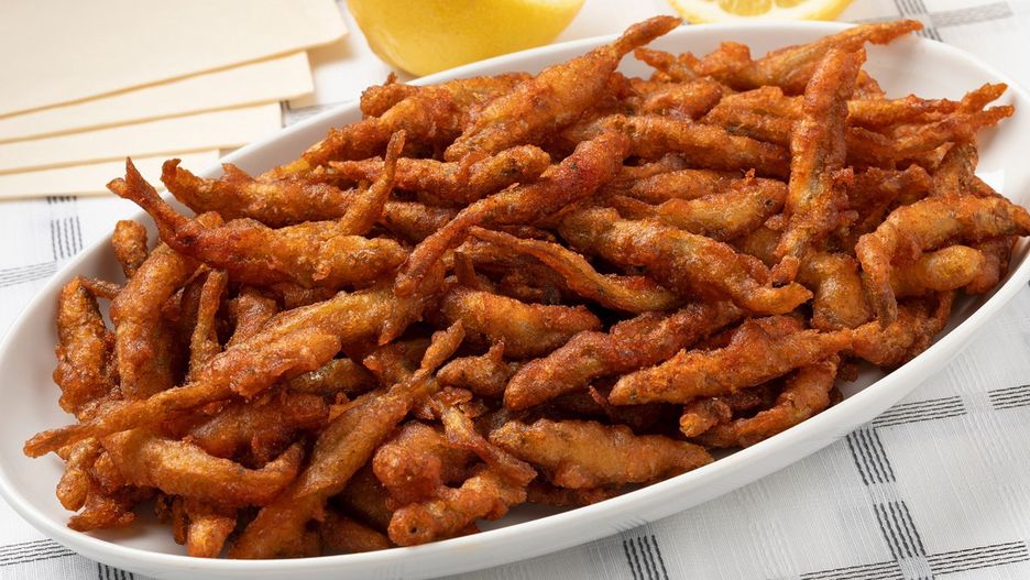 Ryba stynka i jej właściwości