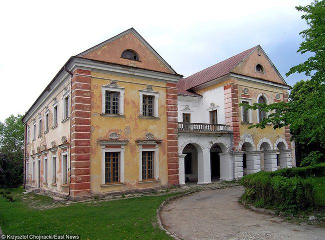 Obraz