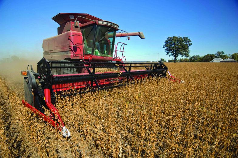 Ceny zbóż mało atrakcyjne. Rolnicy narzekają na dostawy z Ukrainy