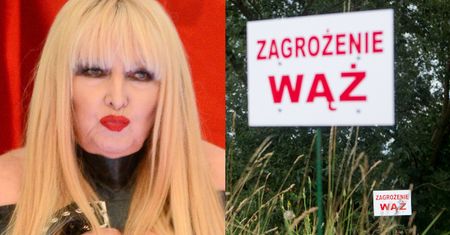 Maryla Rodowicz nie boi się pytona: "Prędzej ja go zjem niż on mnie"