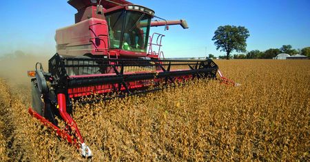 Kernel zmniejszył sprzedaż zboża o 7 procent do 4,41 mln ton