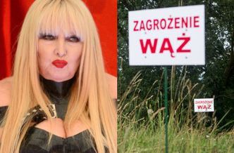 Maryla Rodowicz nie boi się pytona: "Prędzej ja go zjem niż on mnie"