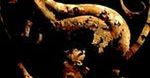 [wideo] Drugi odcinek "Mortal Kombat: Legacy"