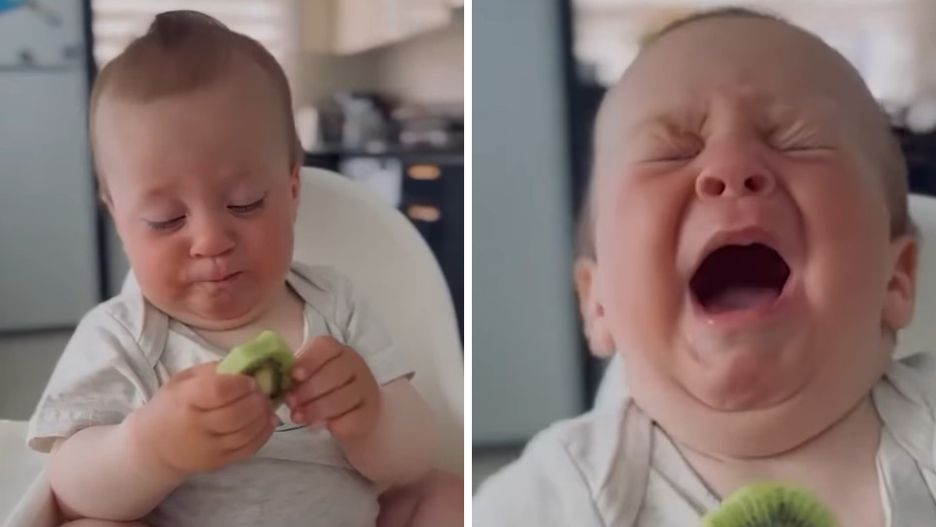 Bobas dostał do spróbowania plasterek kiwi. Jego reakcja jest bezcenna