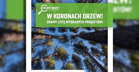Zielony Budżet 2025 rozstrzygnięty. Drzewa w Lublinie będą miały się lepiej!