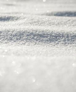 Ferie zimowe 2021 w jednym terminie dla całej Polski