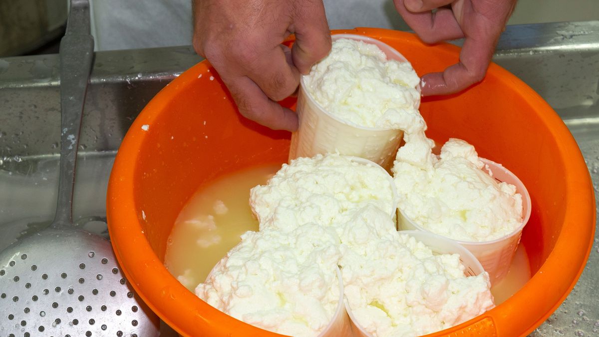 Serwatka zawiera cenne dla zdrowia białka