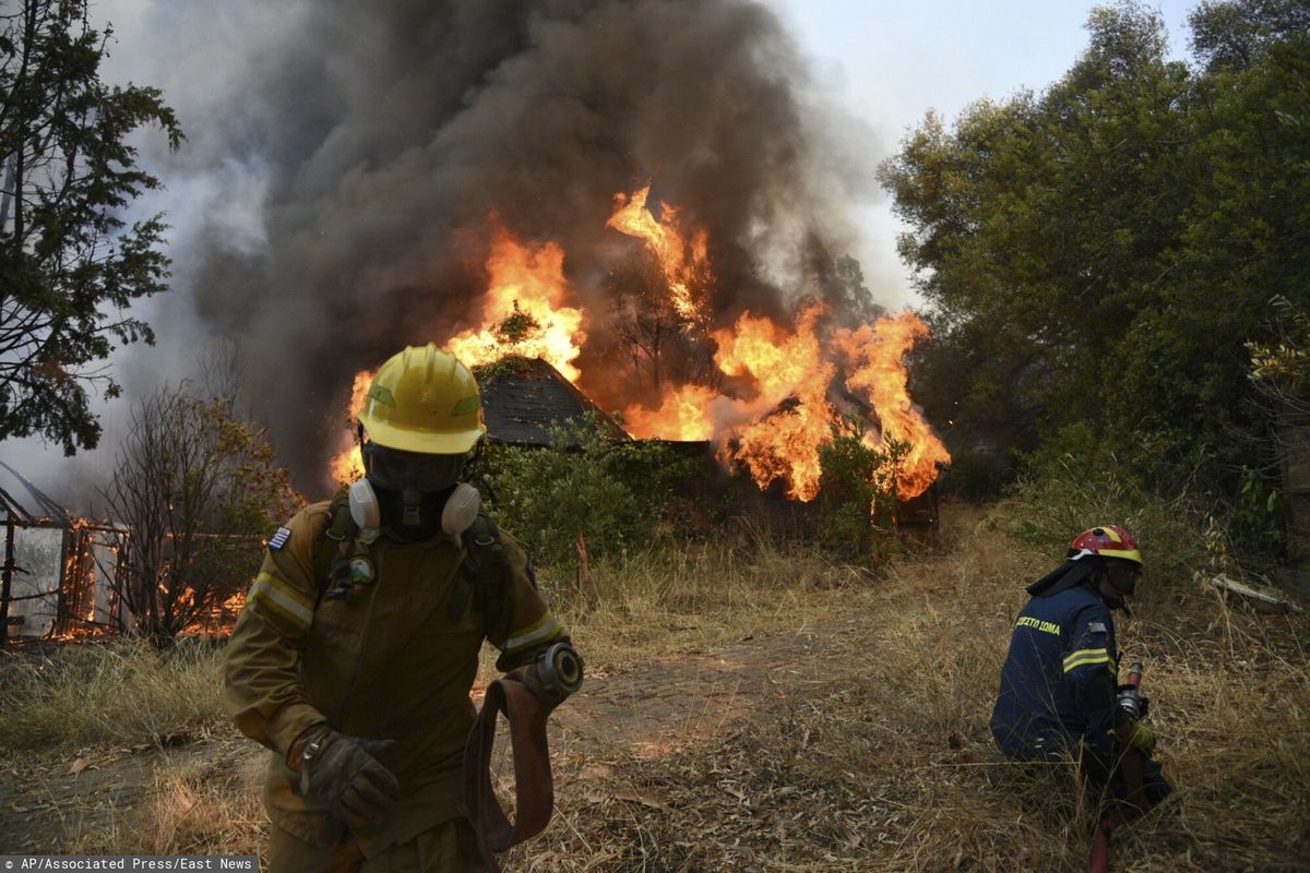 Pożary trawią Grecję. Szpitale w gotowości 
