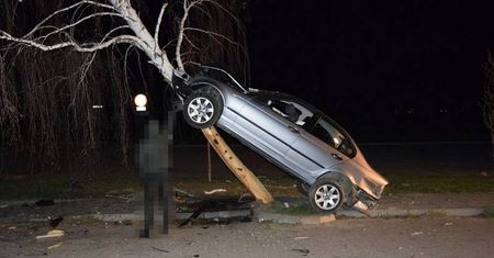 Pijany 21-latek za kierownicą BMW wjechał w brzozę. Samochód zawisł na drzewie