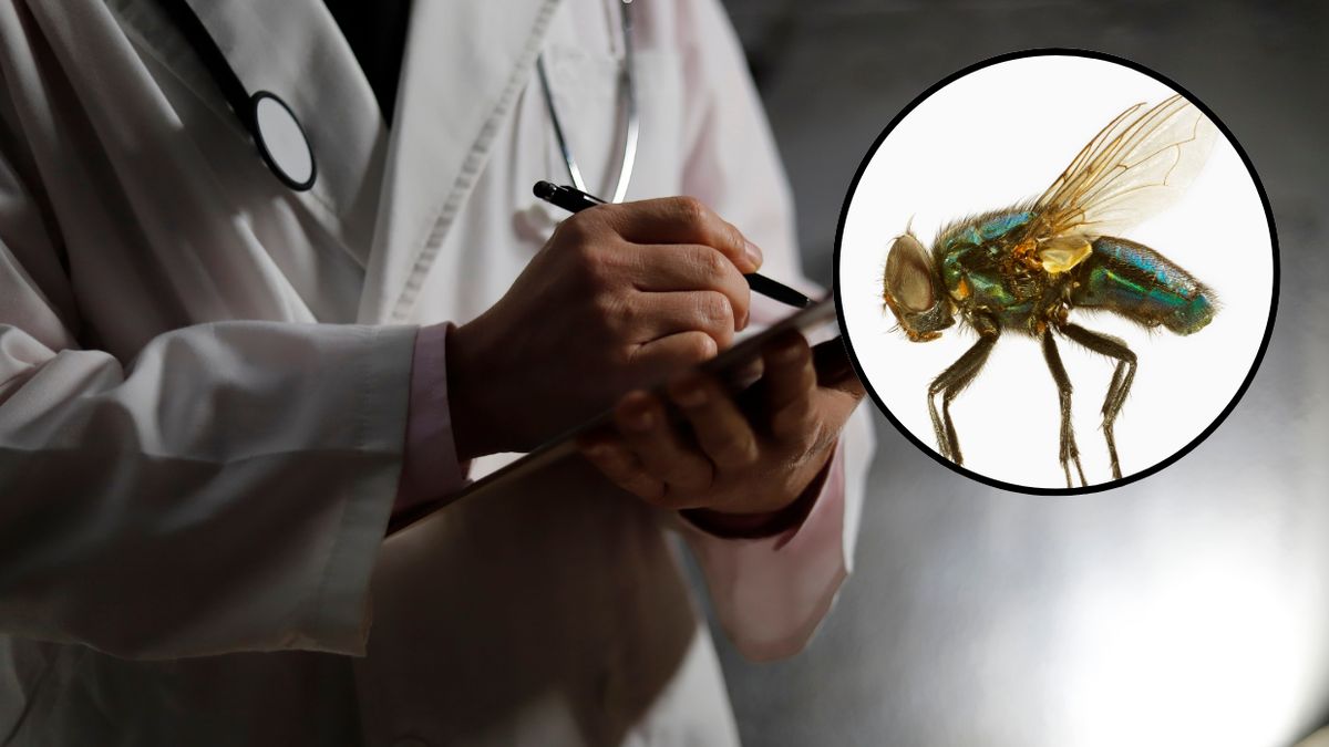 Lekarz wyjął muchę z ucha dziecka