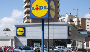 Lidl szuka stażystów. Płaci 3500 złotych