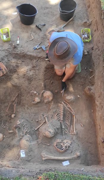 Kości, stare mury i zagadka sprzed wieków. Wielkie odkrycie archeologów przy kościele