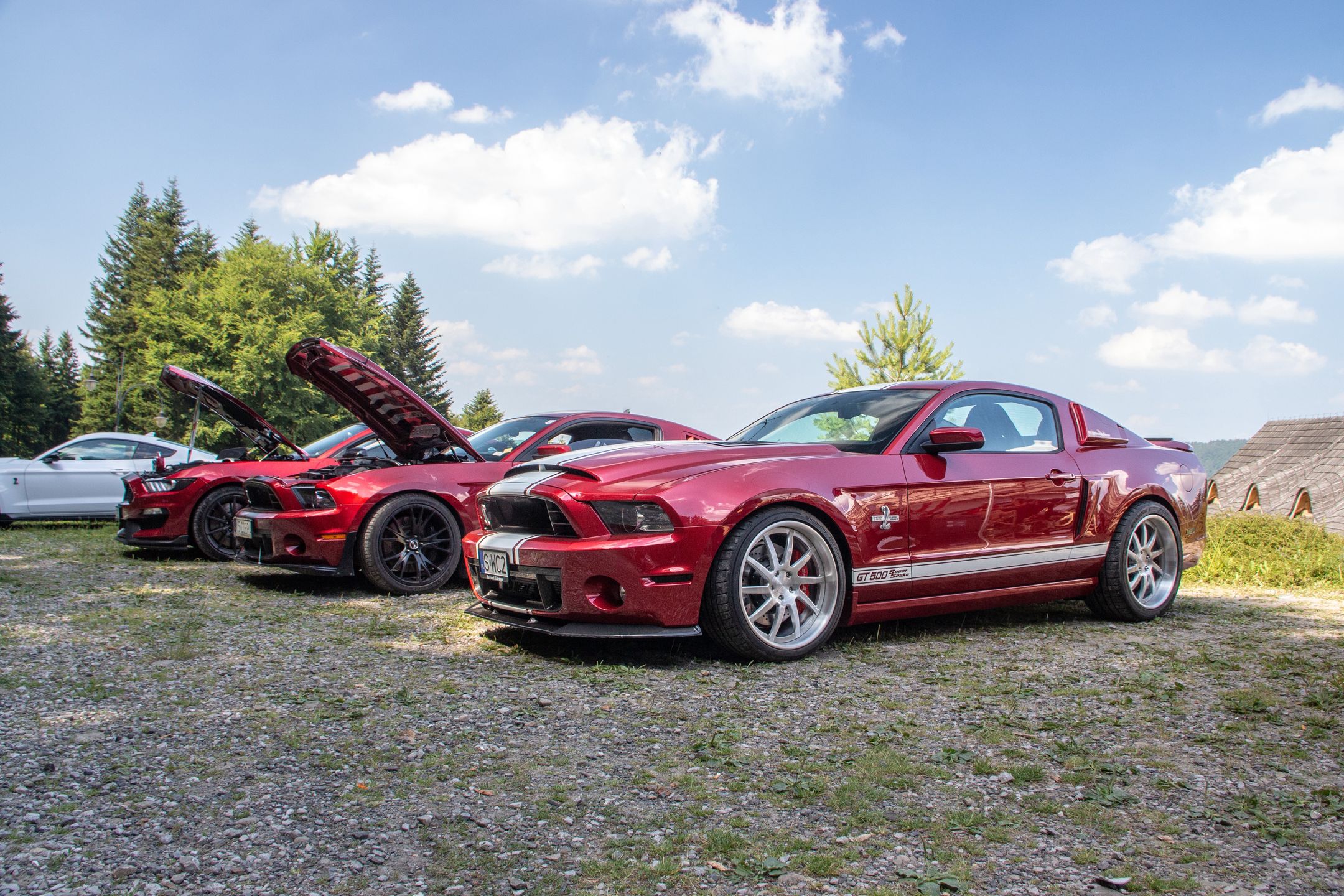 Małopolski & Śląski Zlot Mustangów 2024