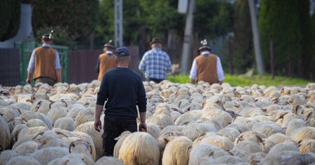 Ostatnia szansa na bezpłatny kurs. Można zostać bacą