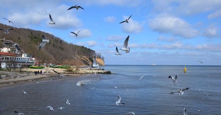 Prawdziwy koszmar. Nad Bałtykiem źle się dzieje. Decyzja już zapadła