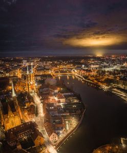 Wrocław. Siechnickie pomidory w roli gwiazdy kadru. Co za blask!