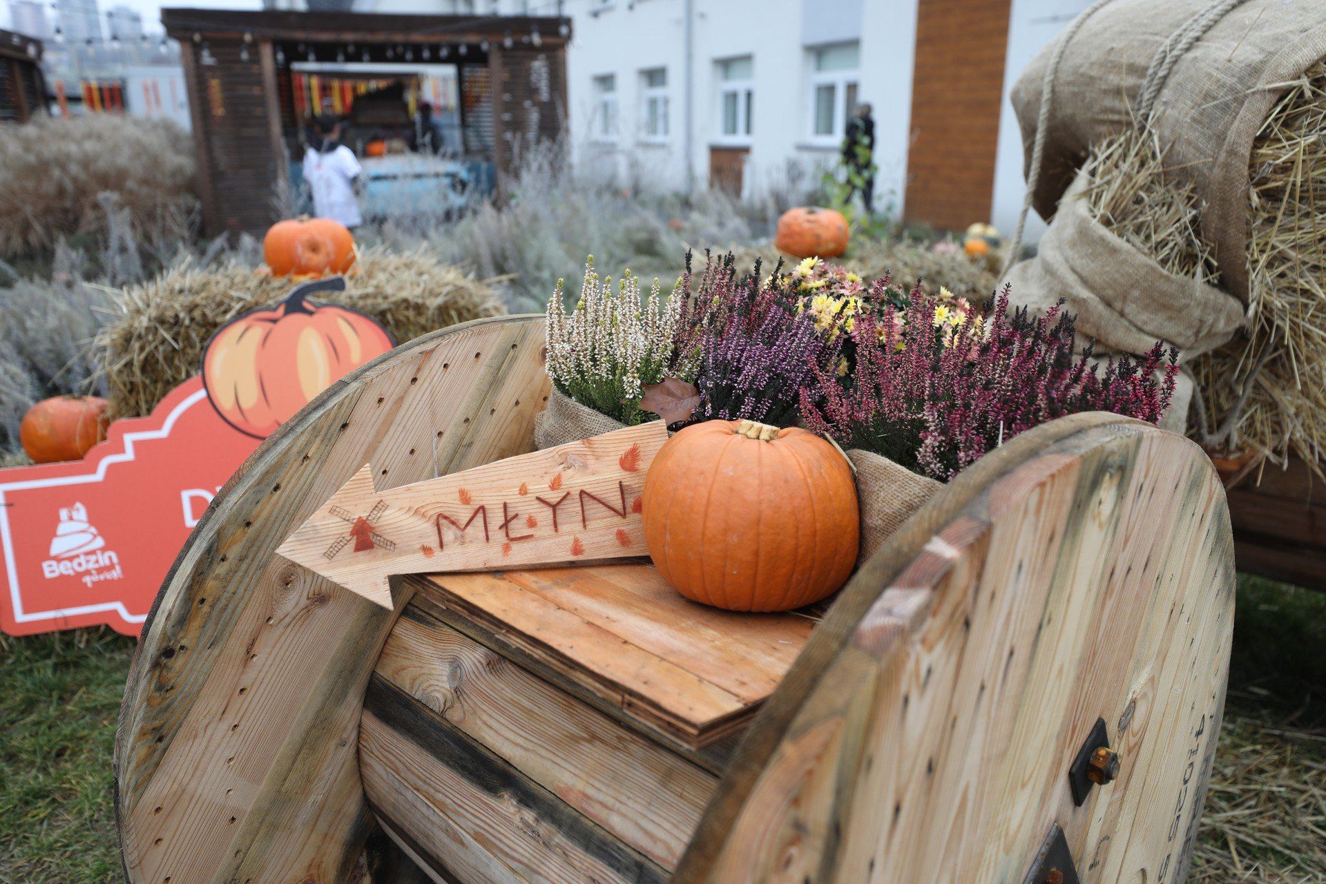 Dyniowa Przystań w Będzinie, a raczej to co z niej zostało. Tak prezentuje się teraz sezonowa atrakcja Zagłębia. Zobaczcie zdjęcia