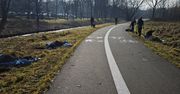 Chrzanów: Autostrada rowerowa w nowej odsłonie. Trwają prace porządkowe i nowe nasadzenia