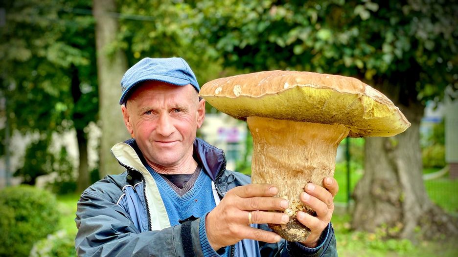 Prawdziwek gigant na Podkarpaciu. Ma ponad dwa kilogramy