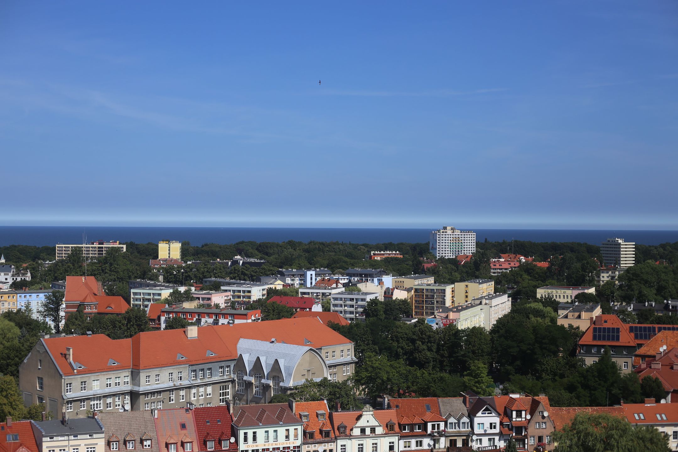 Canon EF 50 mm f/1.8 STM - niedroga przepustka do poważnej fotografii [recenzja] 75