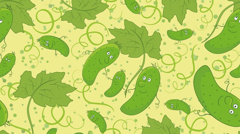 Jedzenie ogórków kiszonych zmniejsza lęk społeczny