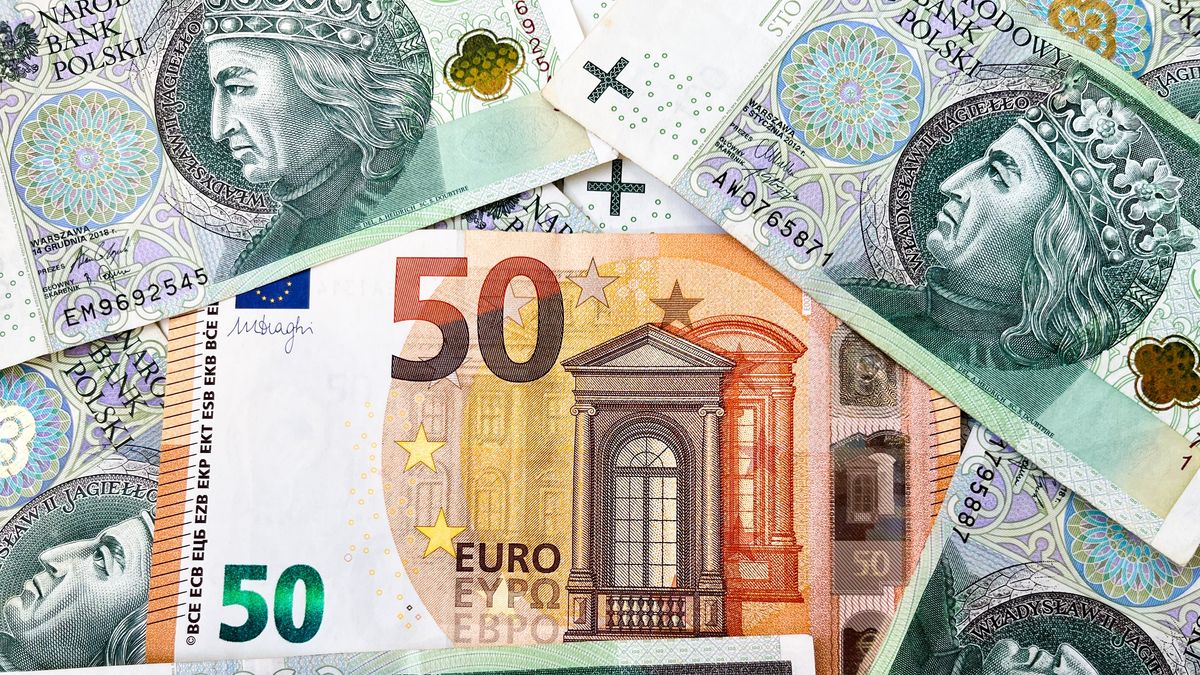 50 euro, fifty euro, euro, euro currency, 100, 100 zloty, background, background of one hundred zloty, bank, banking, banknote, banknotes, cash, closeup, corruption, credit, crisis, currency, currency of poland, earn, earnings, economy, europe, european, european union, exchange, finance, financial, hundred, income, incomings, inflation, investment, market, money, national, one hundred zloty, one hundred zloty notes, pay, payment, pile, pln, poland, rich, salary, savings, shopping, success, tax