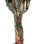 Rozstrzygnięcie konkursu Śląski Wawrzyn Literacki 2010